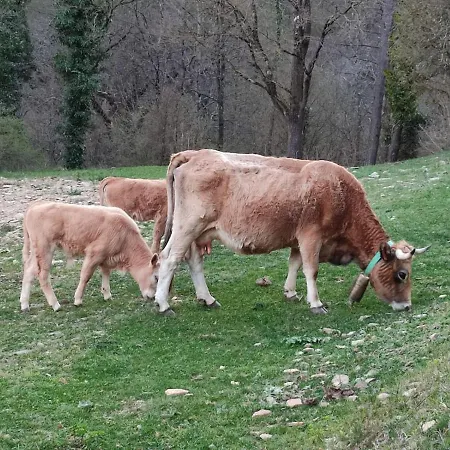 Masia La Closa